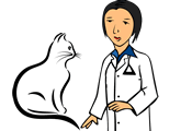 veterinarian.gif